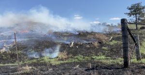 A picture of the first controlled burn I participated in